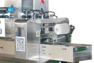 Automatic Multi Functional Pillow Packaging Machine